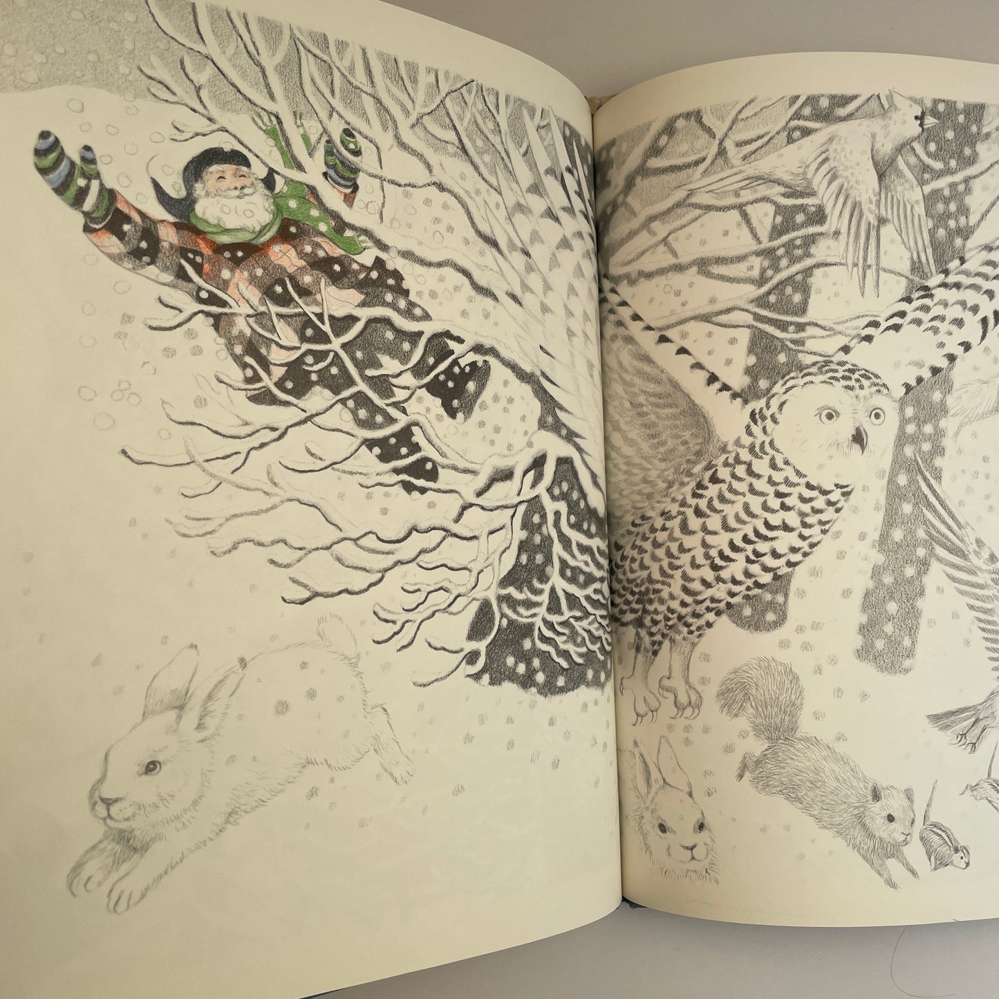 Stopping By Woods on a Snowy Evening