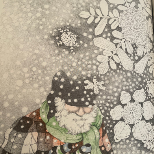 Stopping By Woods on a Snowy Evening