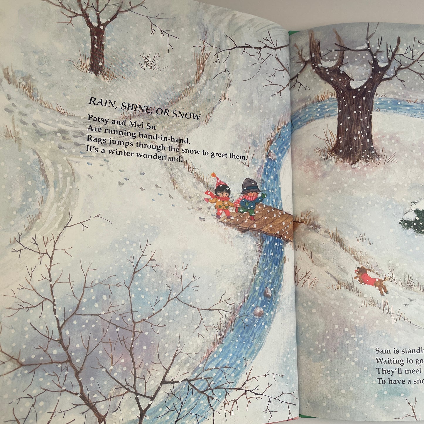 Rain, Shine, or Snow and Other Tales