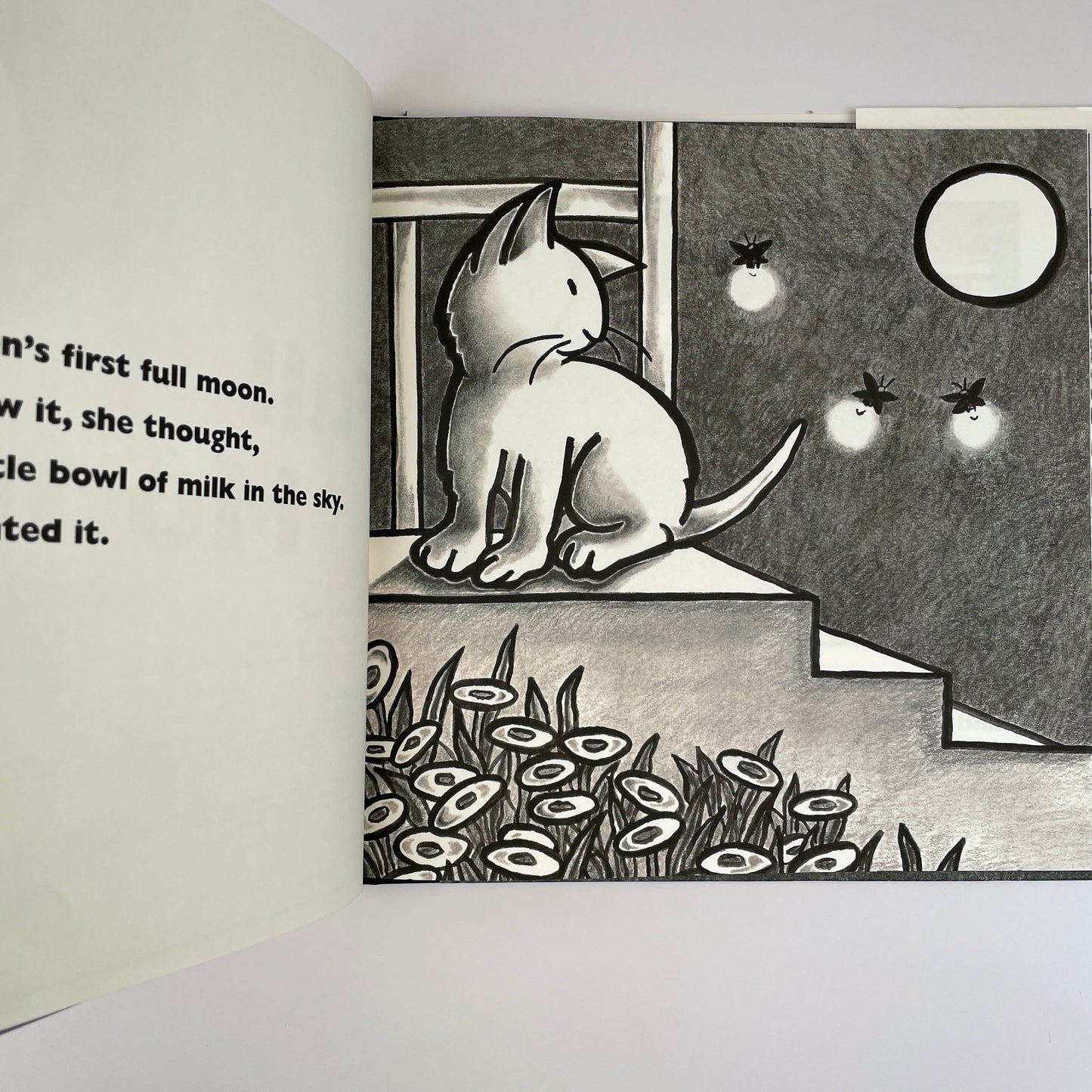 Kitten's First Full Moon