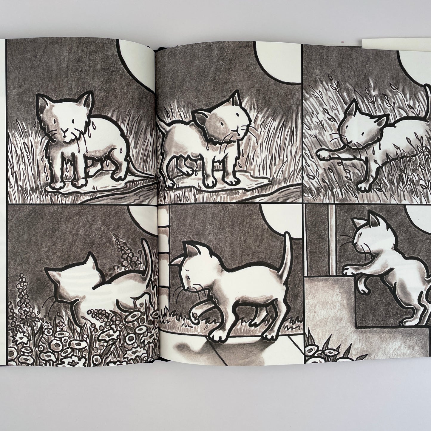 Kitten's First Full Moon