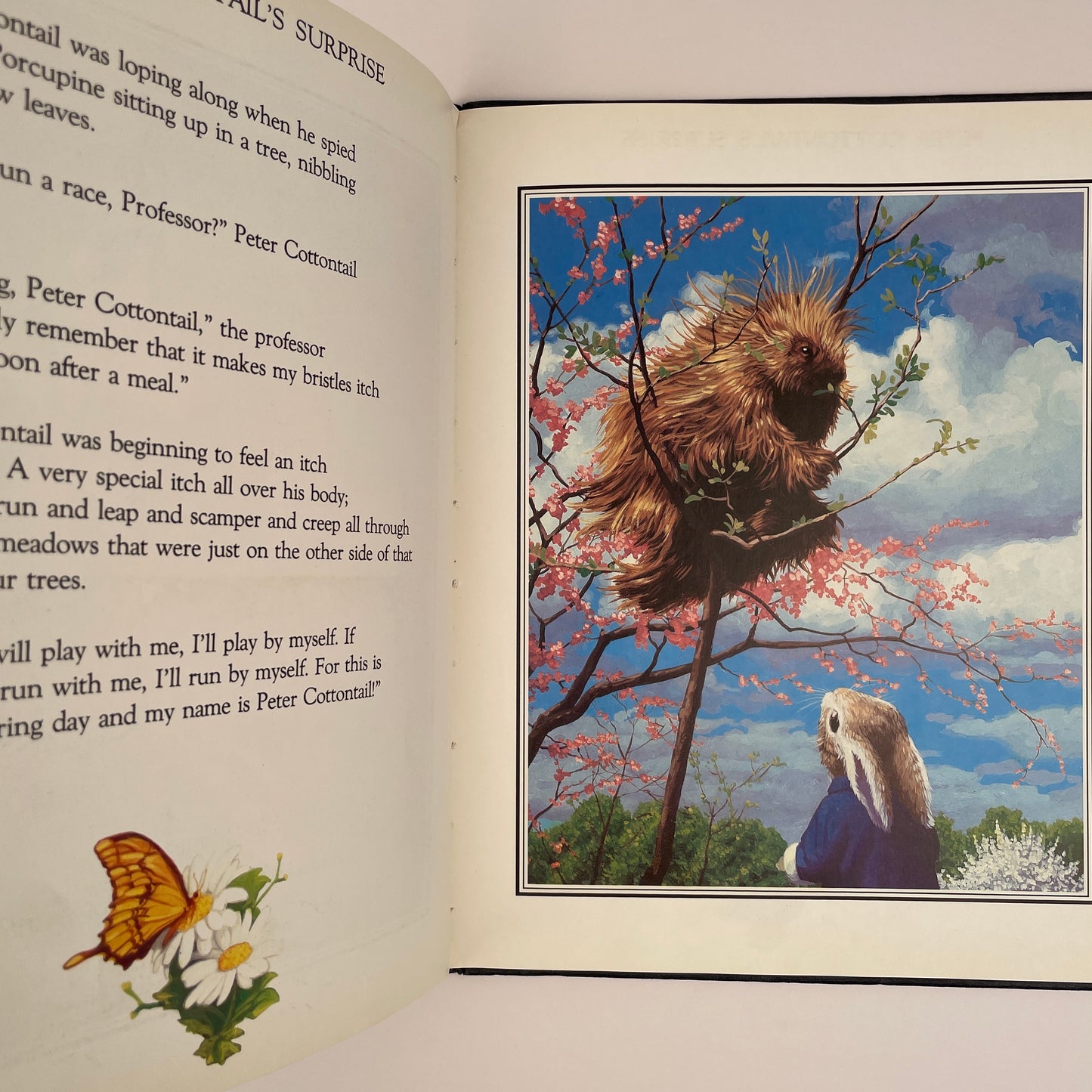 Peter Cottontail's Surprise