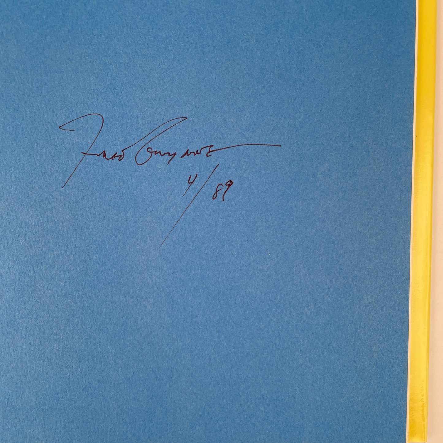 A Little Pigeon Toad