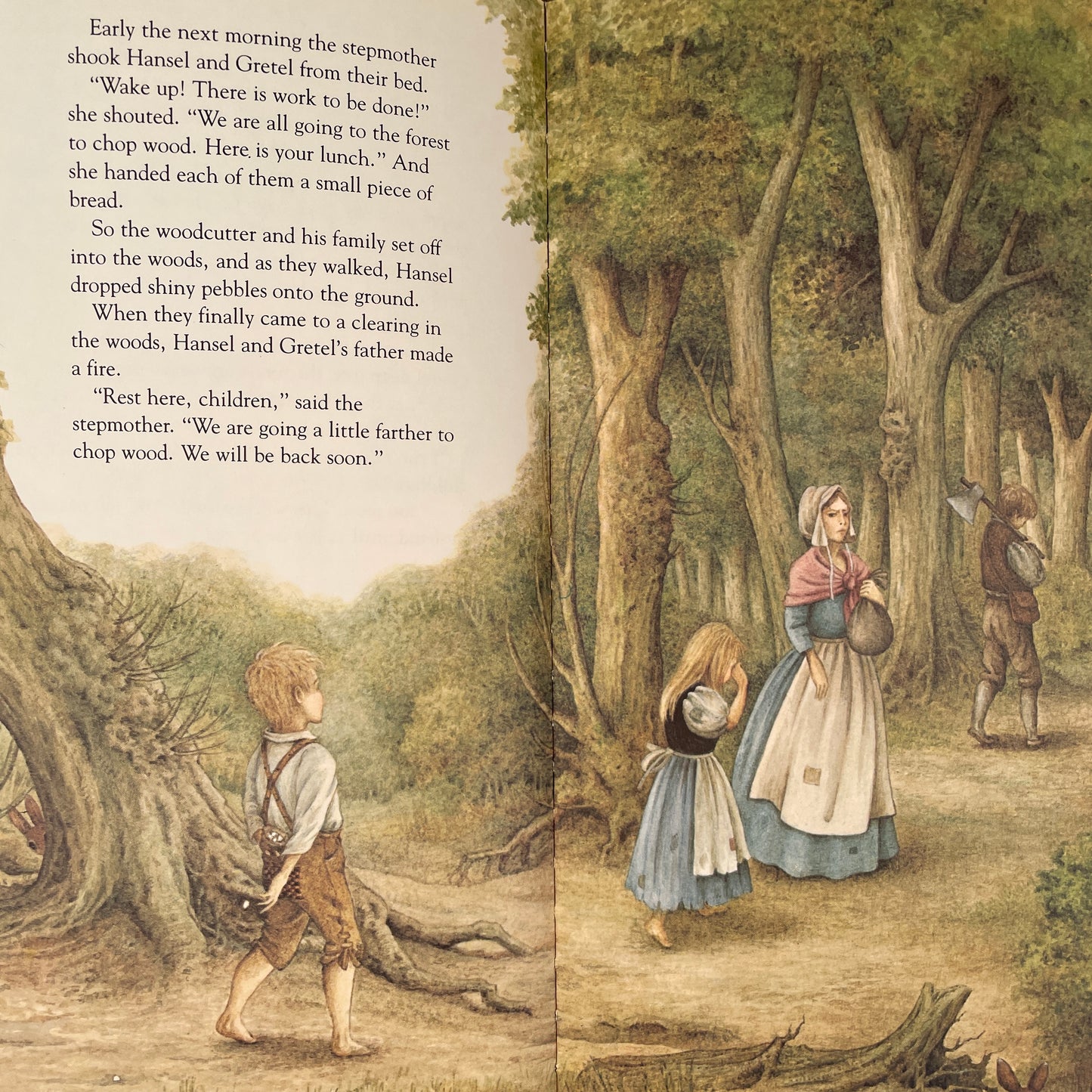 Hansel and Gretel (Knee High Book)