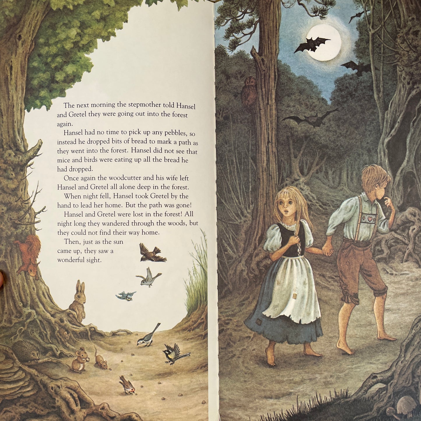 Hansel and Gretel (Knee High Book)
