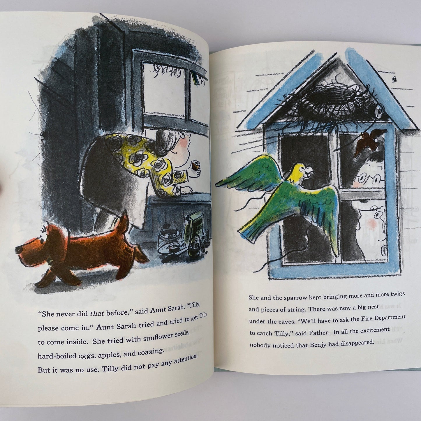 Benjy and the Barking Bird