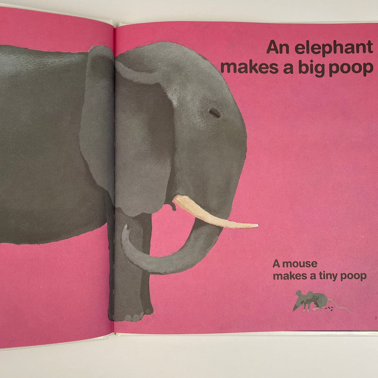 Everyone Poops