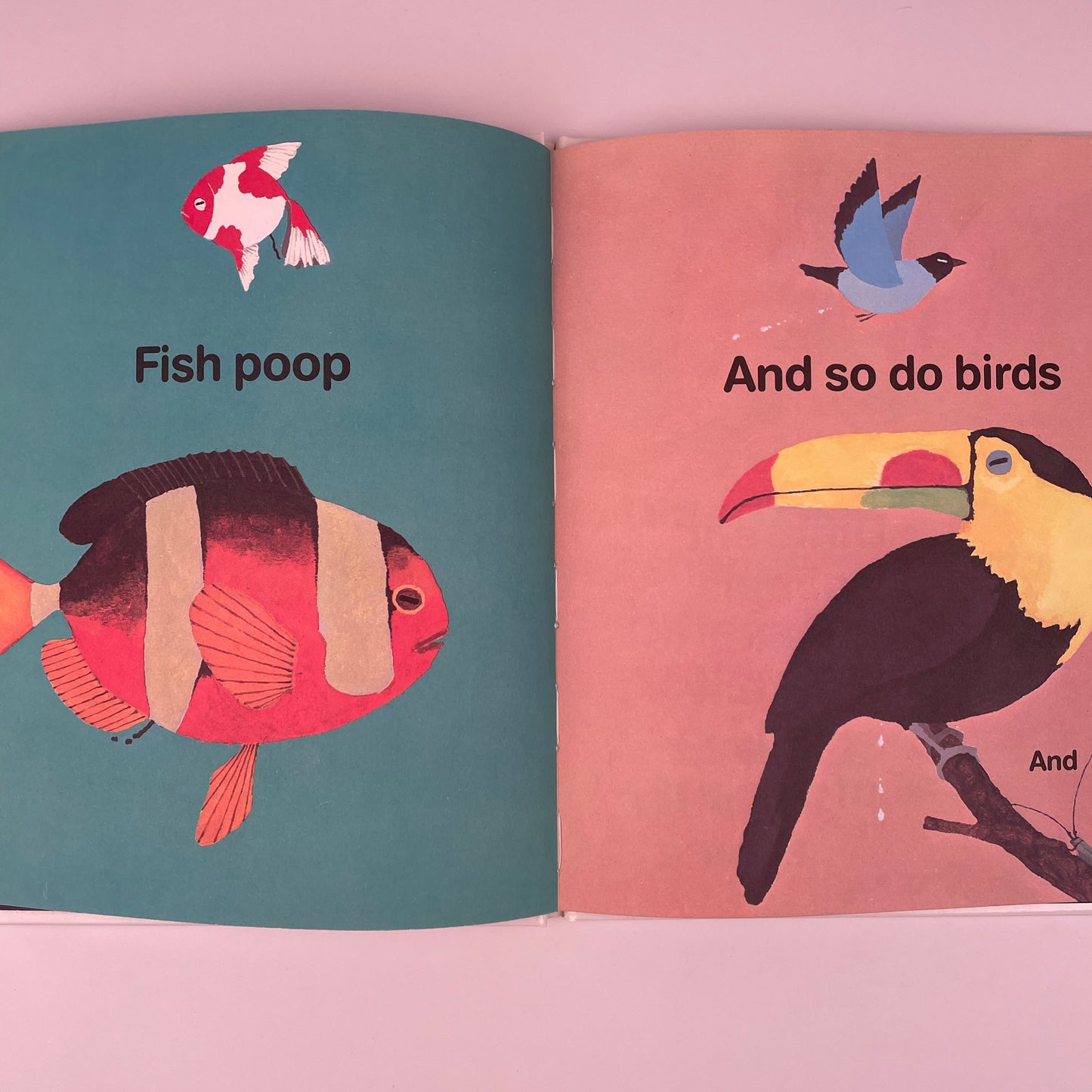 Everyone Poops