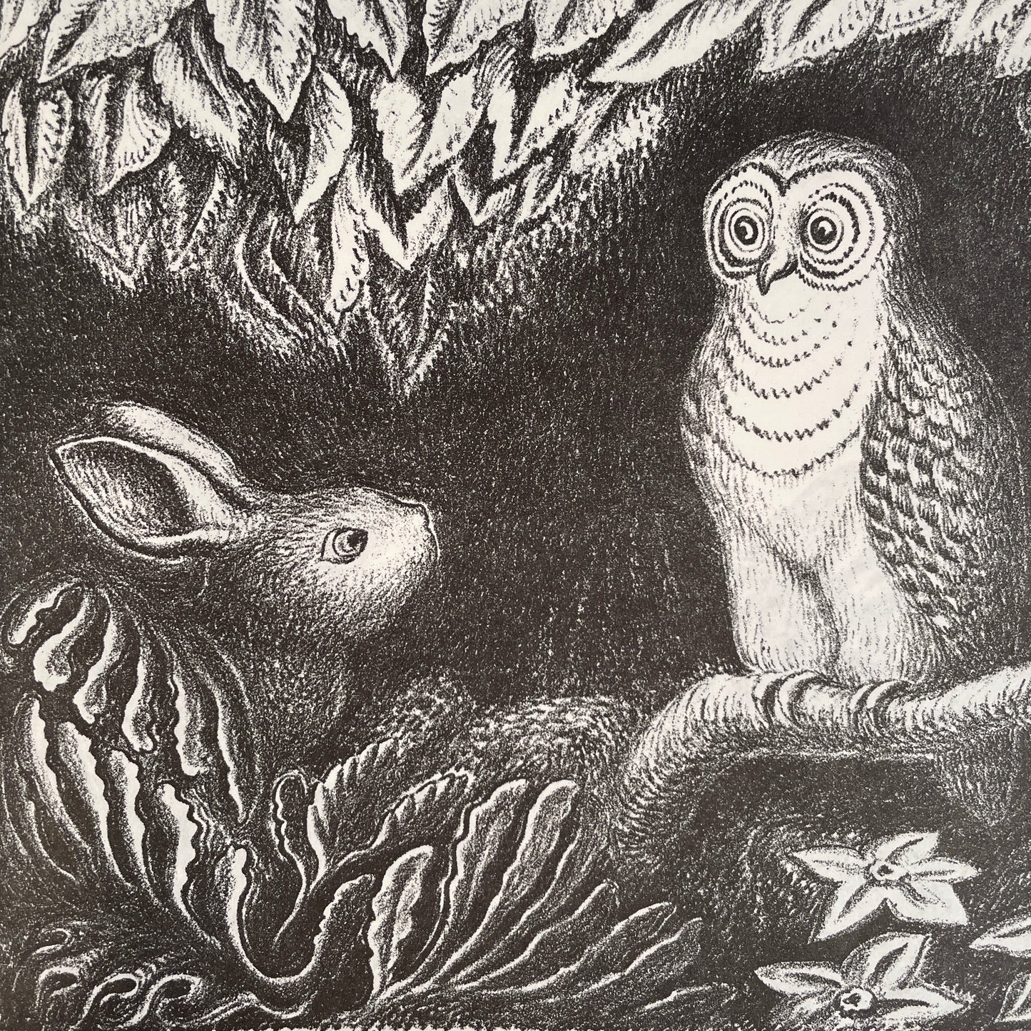 The ABC Bunny