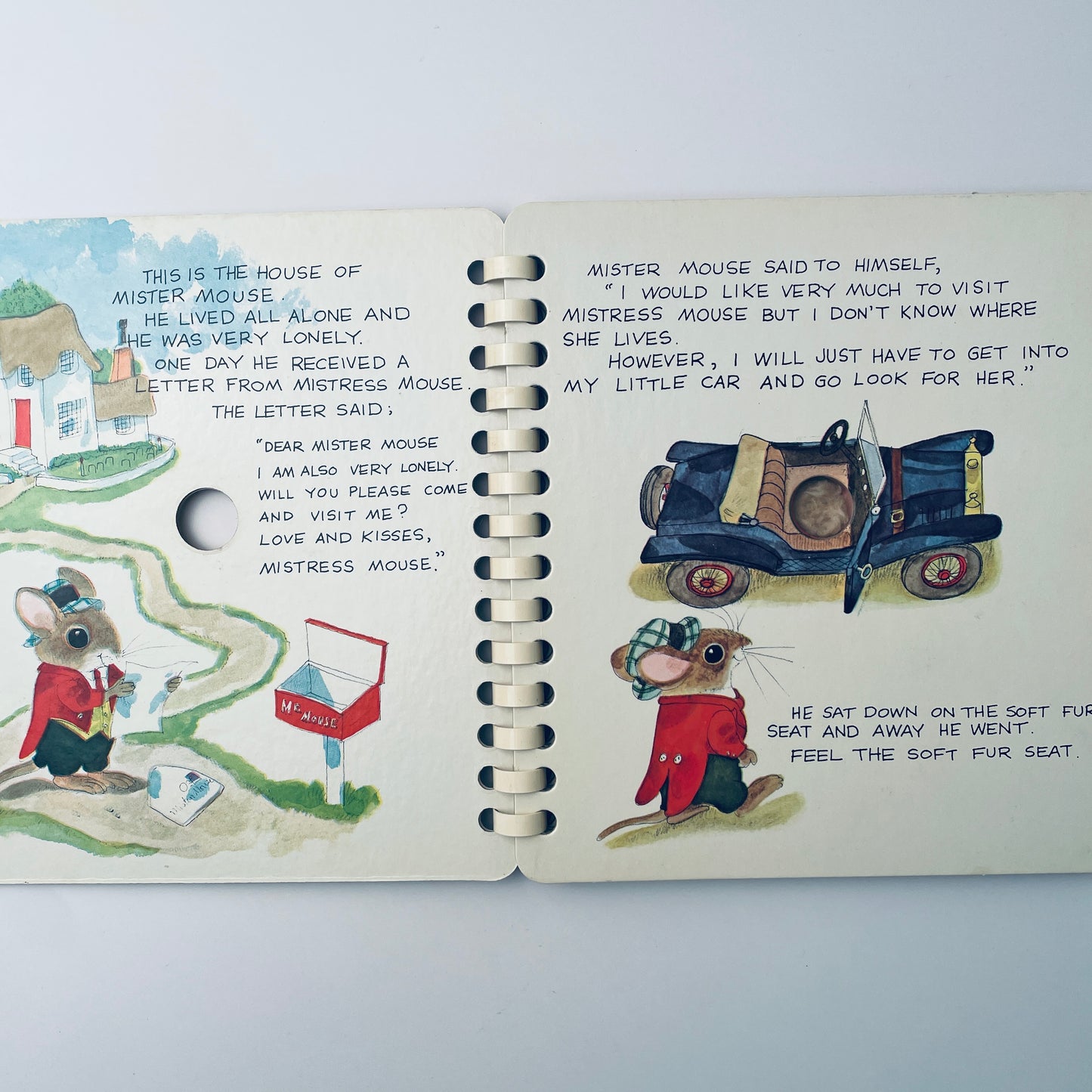 Is This the House of Mistress Mouse?