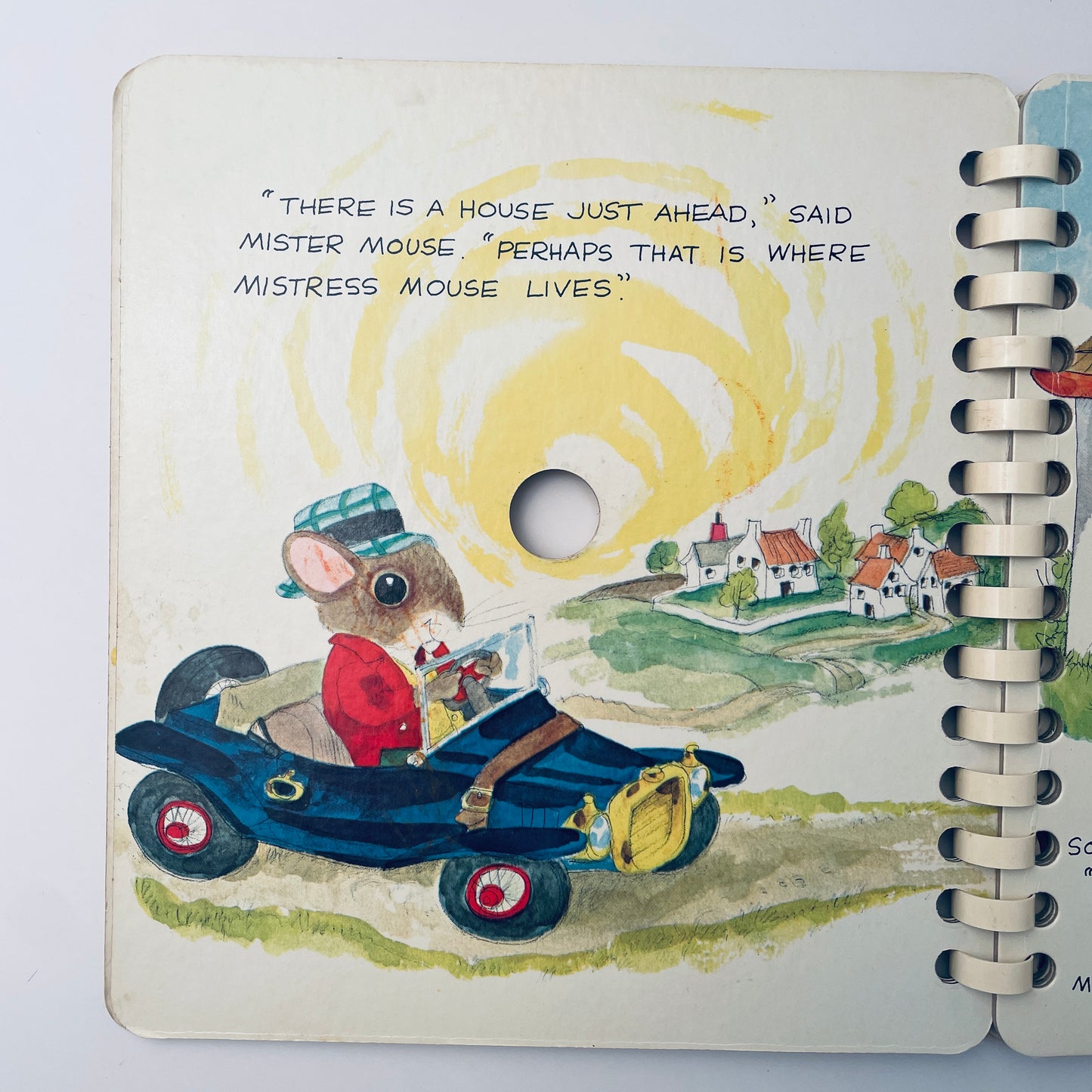 Is This the House of Mistress Mouse?