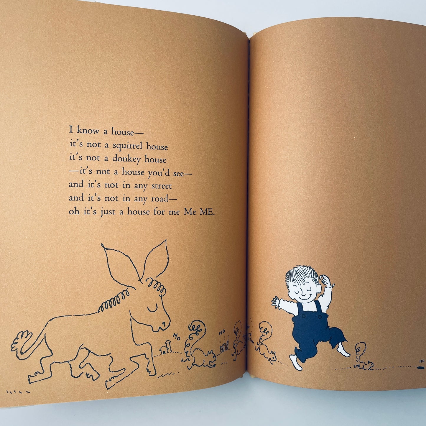 A Very Special House