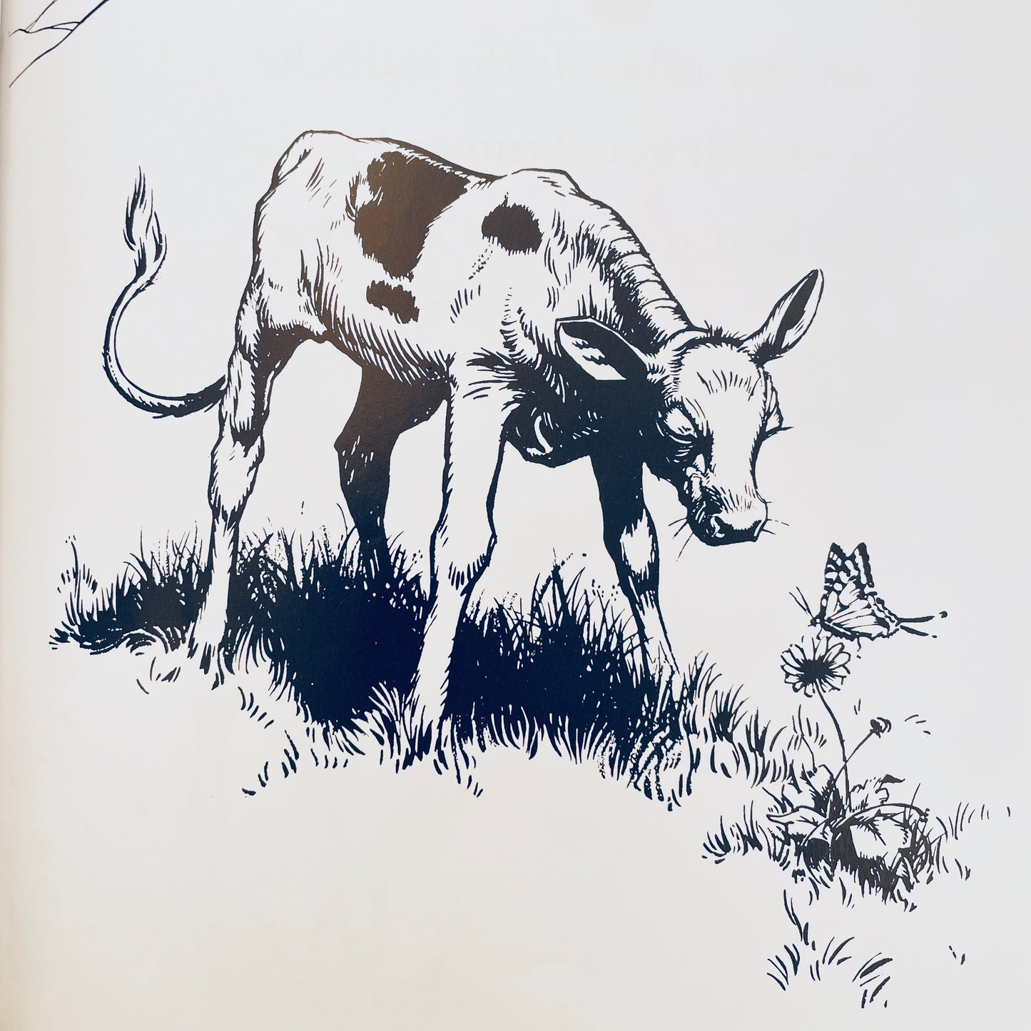 The Story of Ferdinand