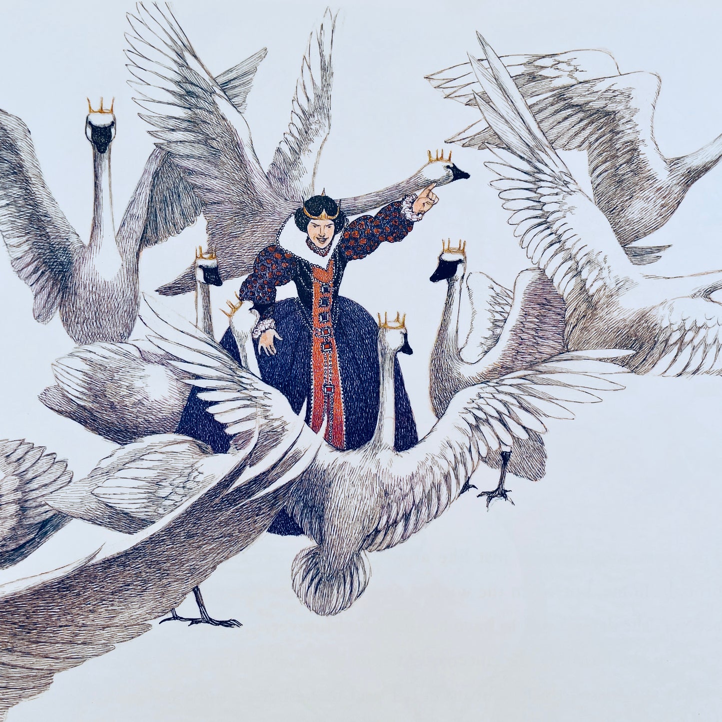 The Wild Swans