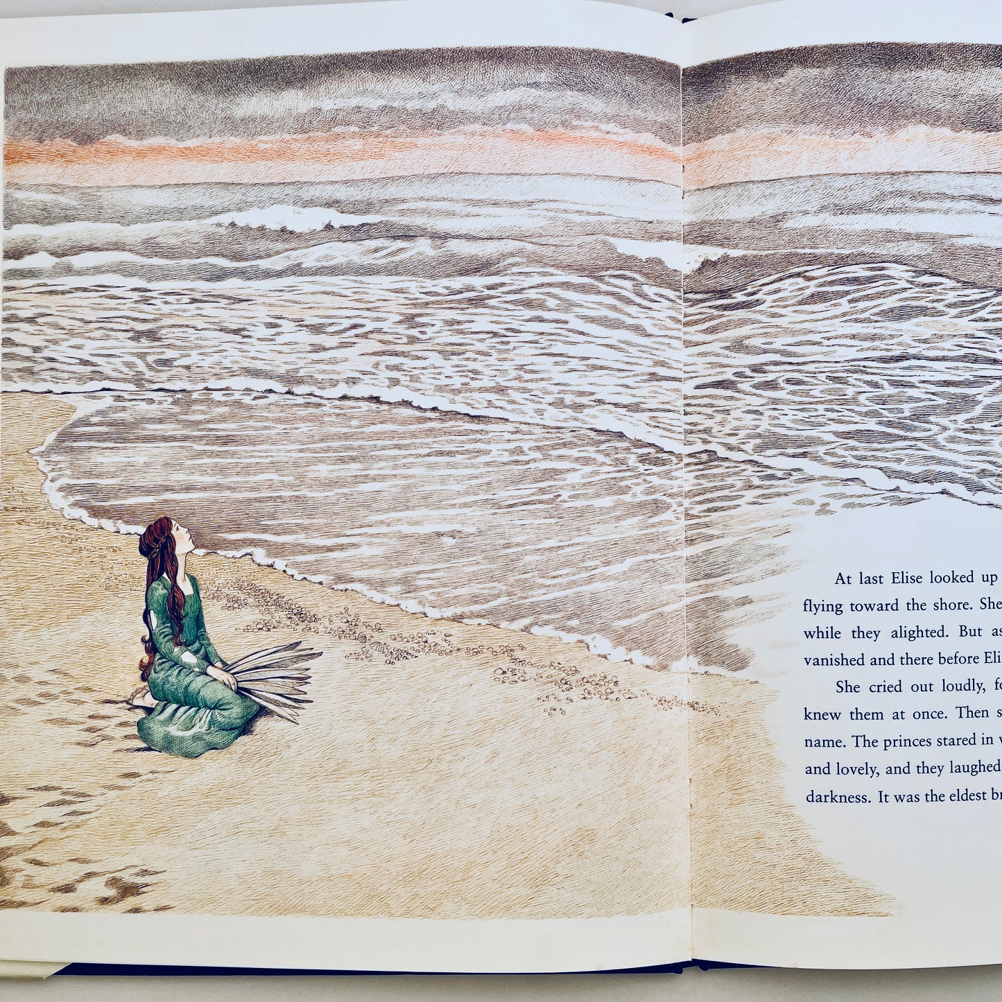 The Wild Swans
