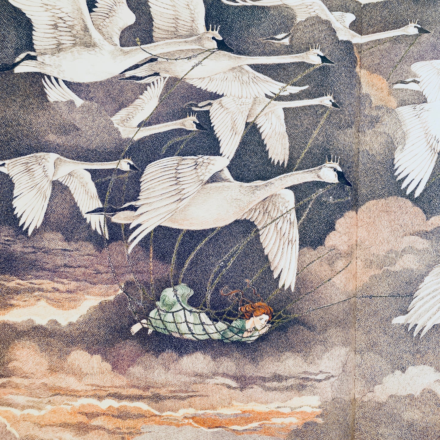 The Wild Swans