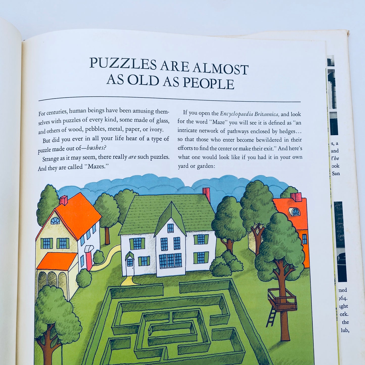 The Amazing Maze