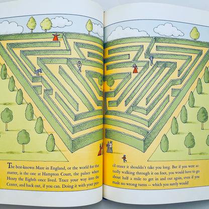 The Amazing Maze
