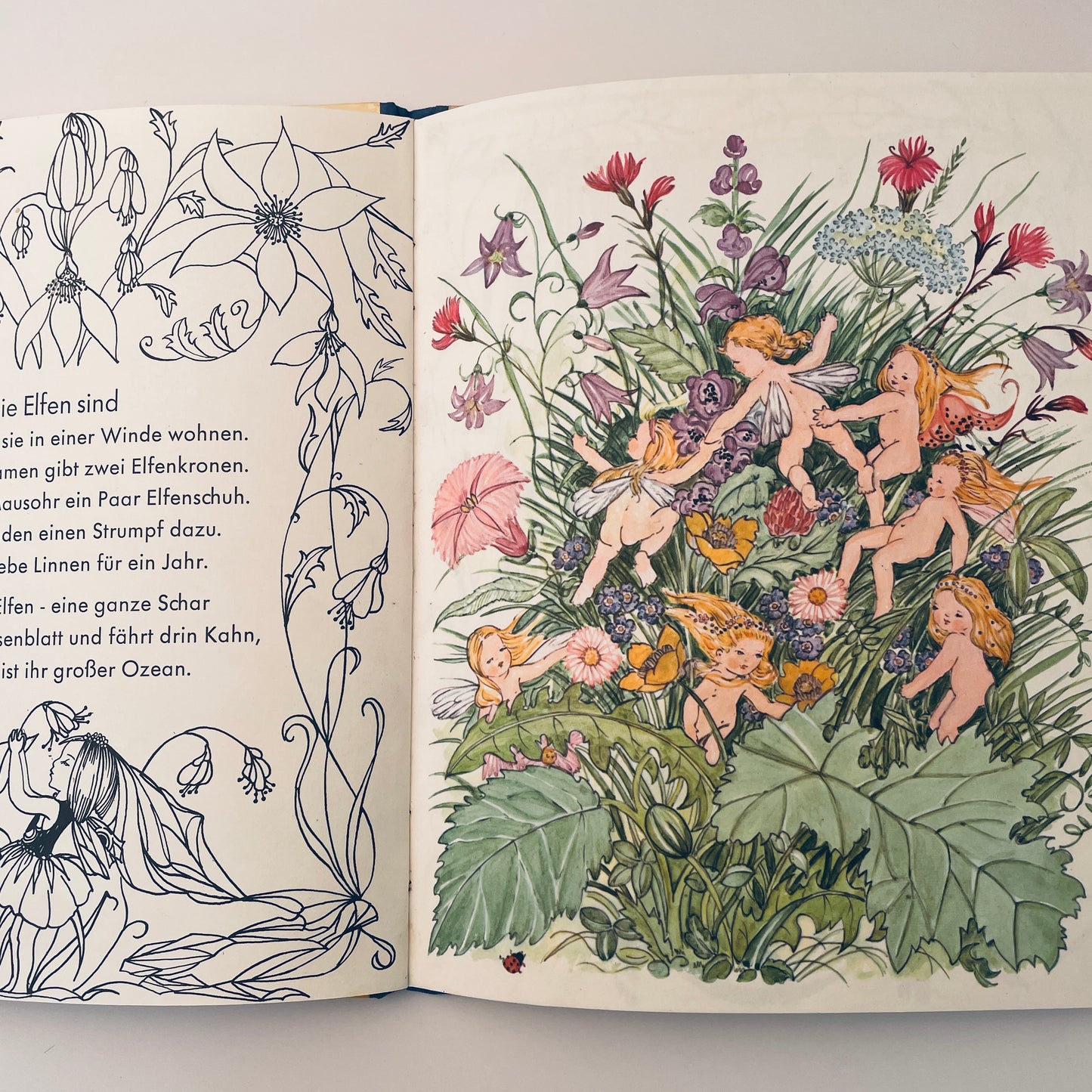 Hinterm Hause Nummer Drei (Behind House Number Three–German)