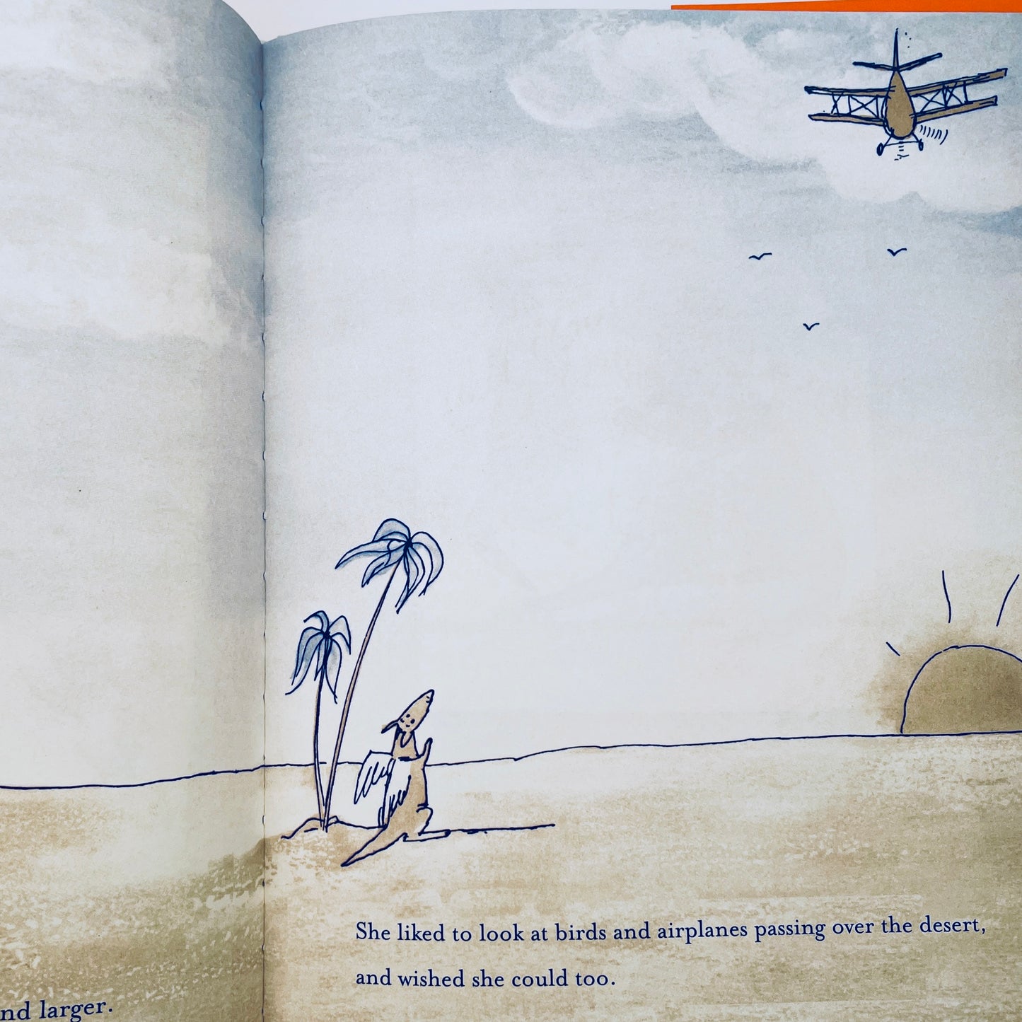 Adelaide: The Flying Kangaroo