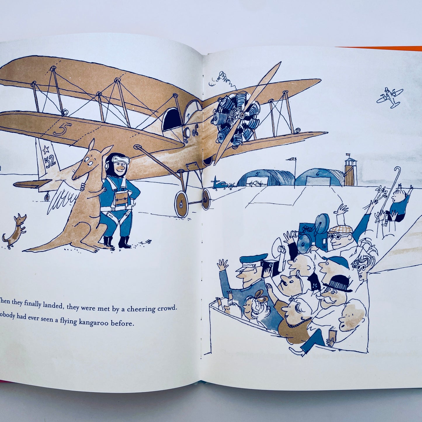 Adelaide: The Flying Kangaroo
