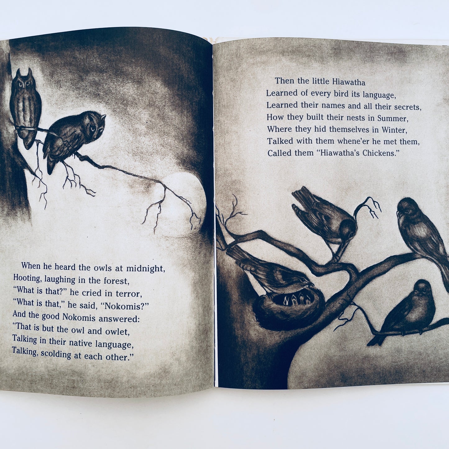 Hiawatha's Childhood from The Song of Hiawatha
