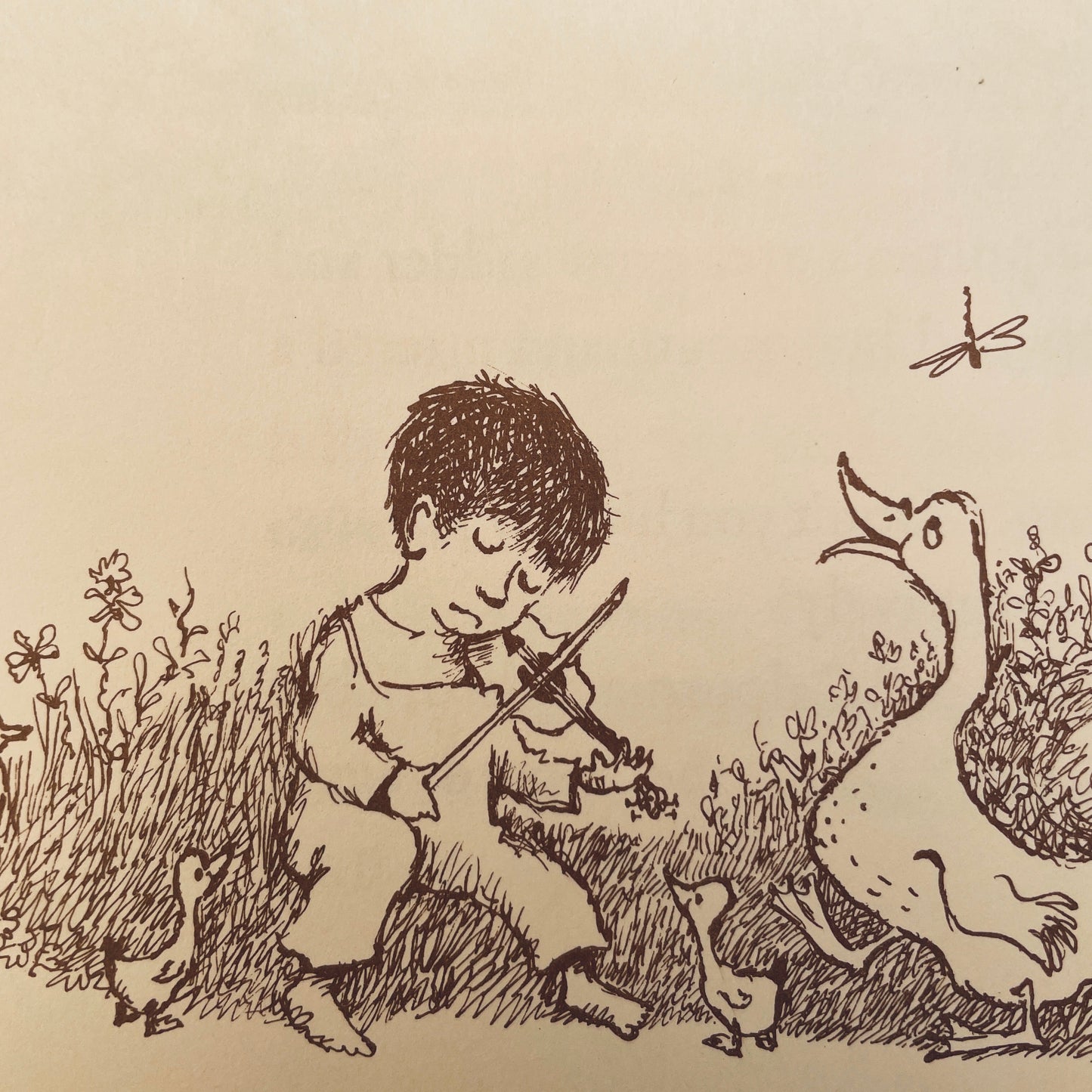 The Tin Fiddle
