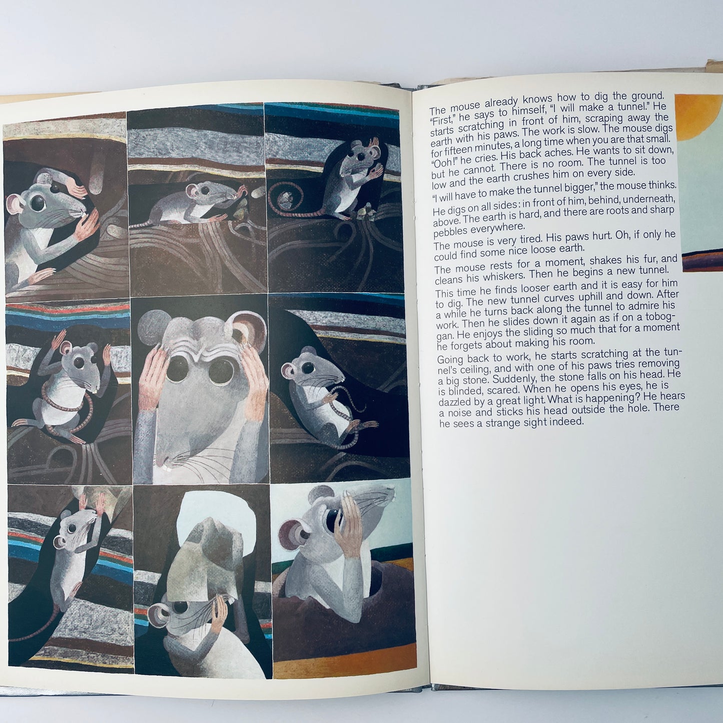 How the Mouse Was Hit on the Head by a Stone and so Discovered the World