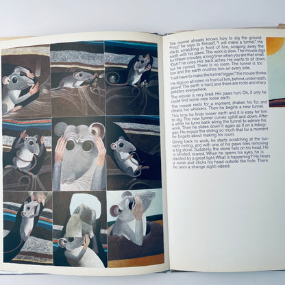 How the Mouse Was Hit on the Head by a Stone and so Discovered the World