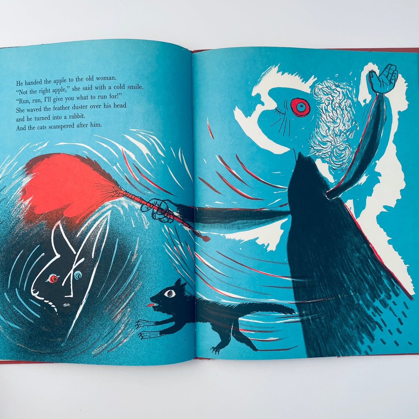 The Magic Feather Duster