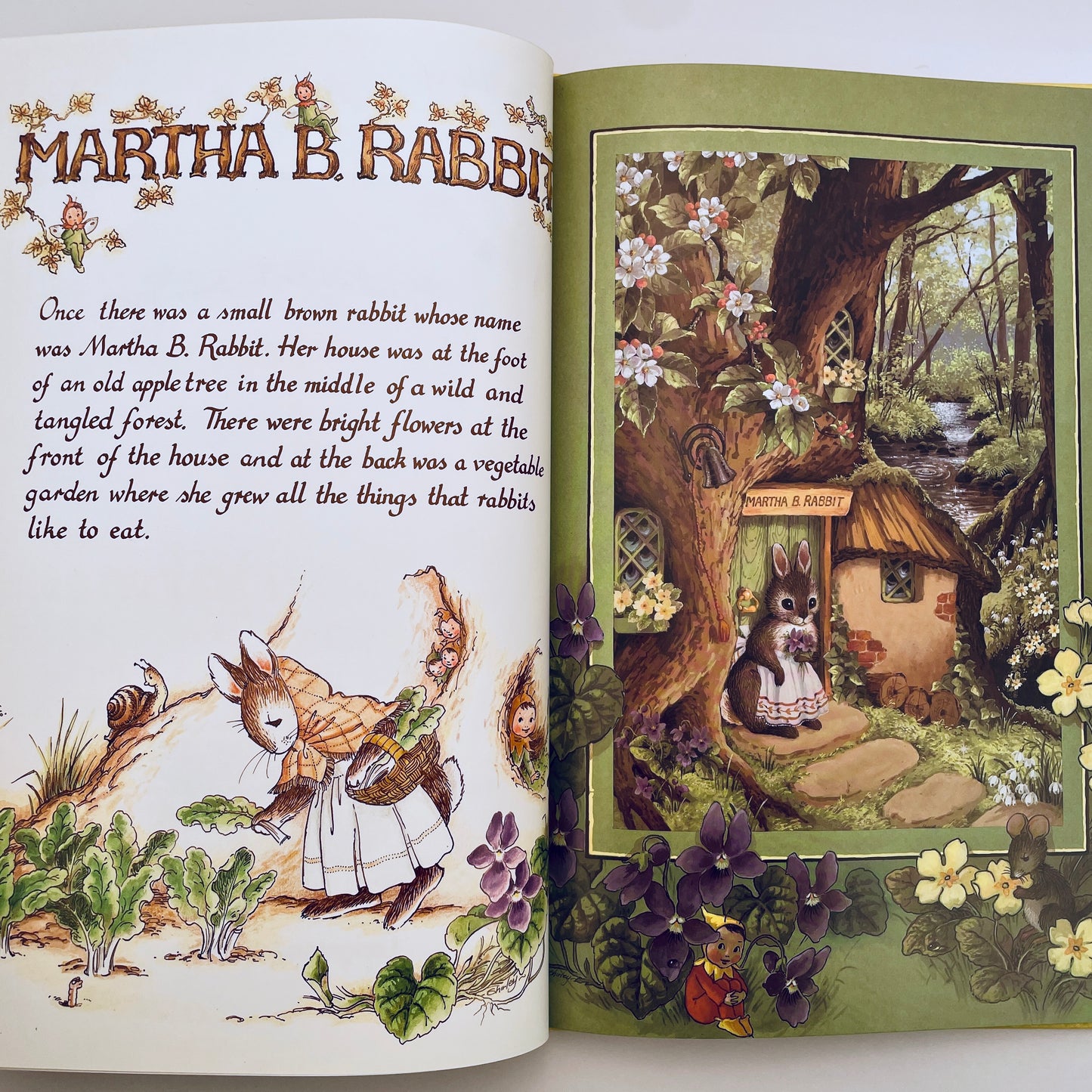 Tale of Martha B. Rabbit