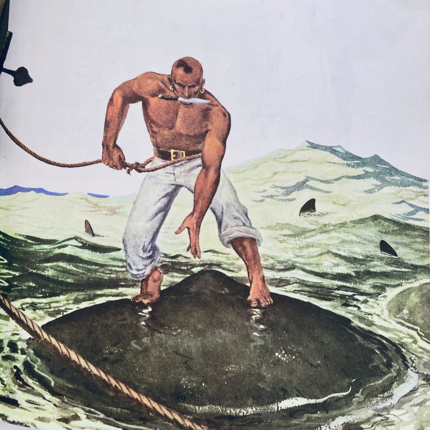 Moby Dick (adapted for young readers)
