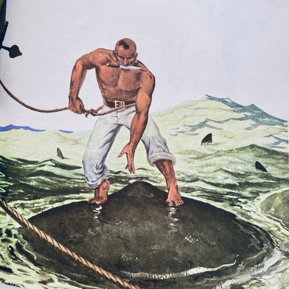 Moby Dick (adapted for young readers)