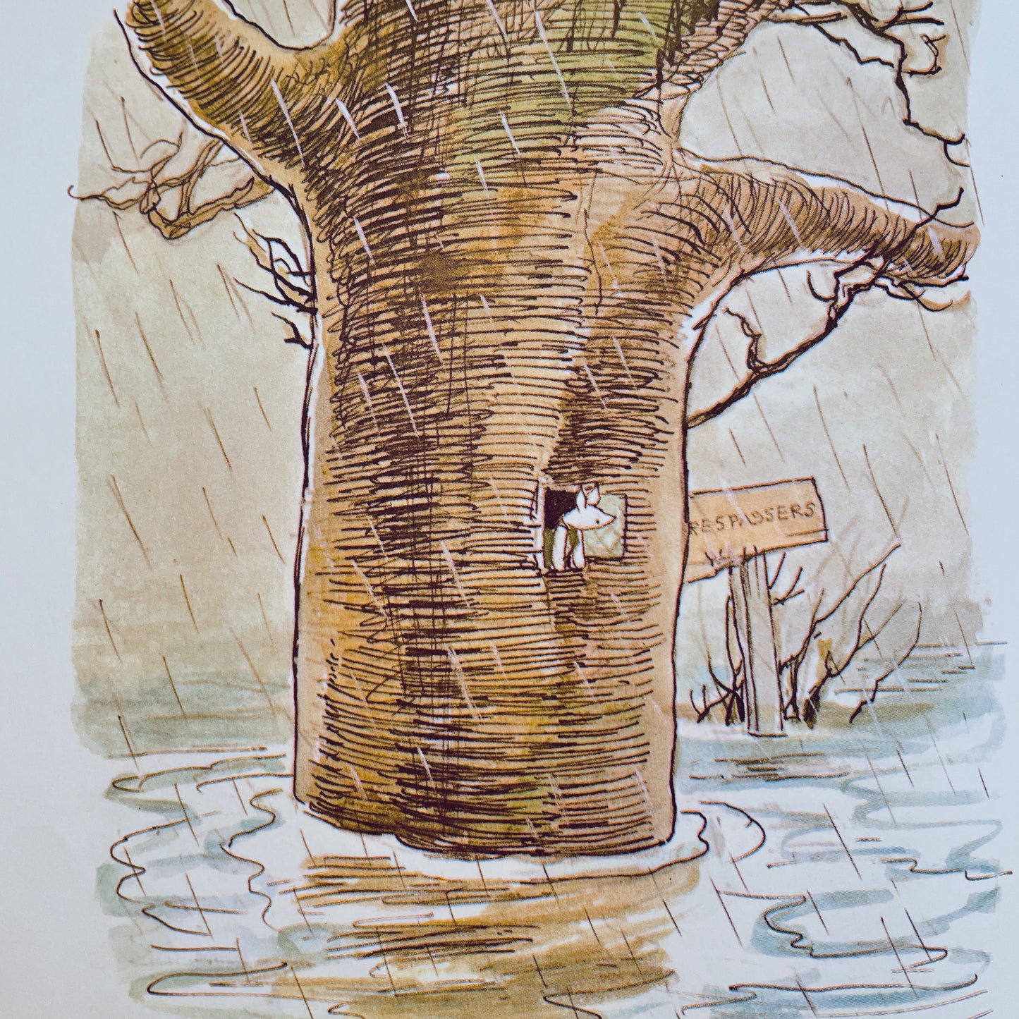 The Pooh Story Book