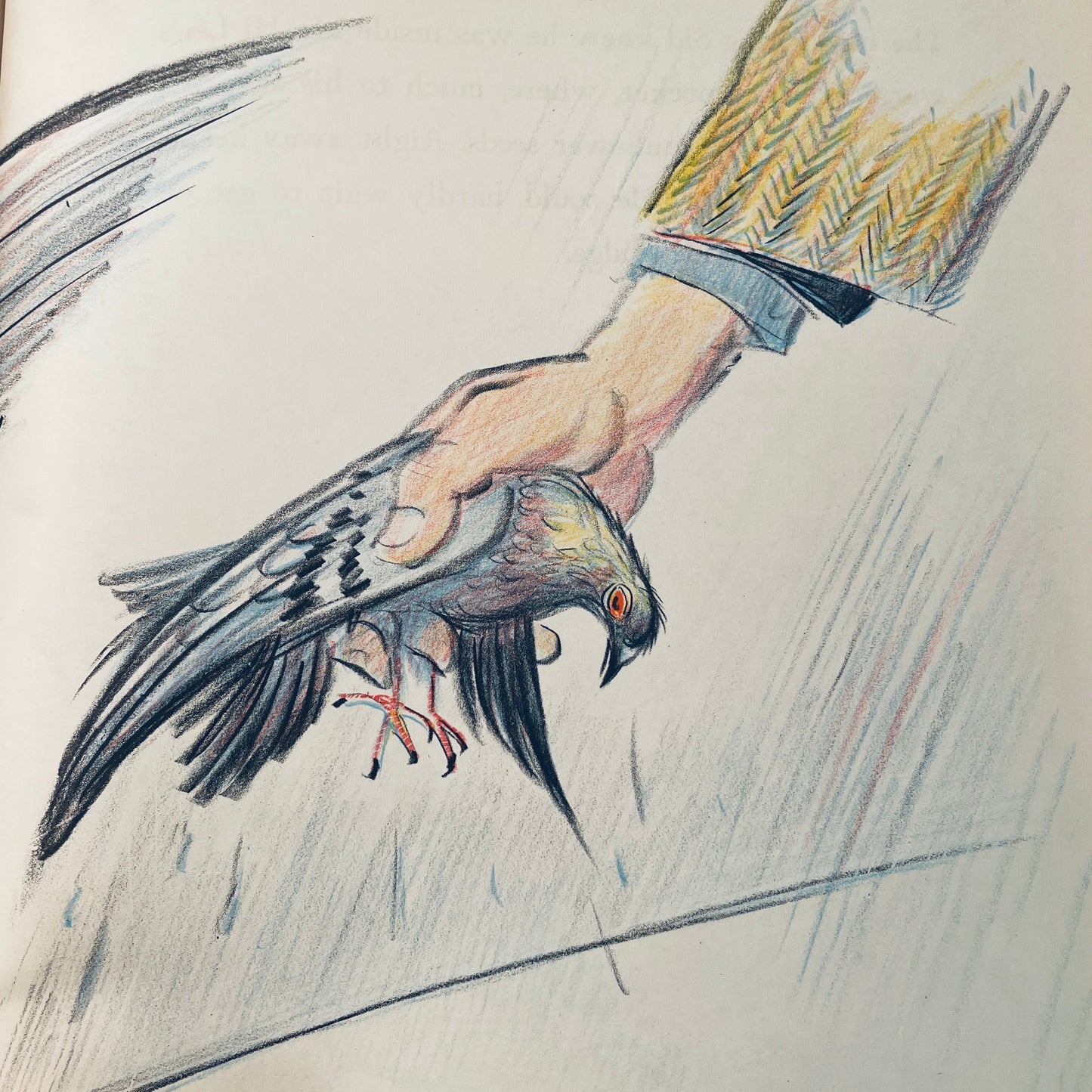 Fly High, Fly Low