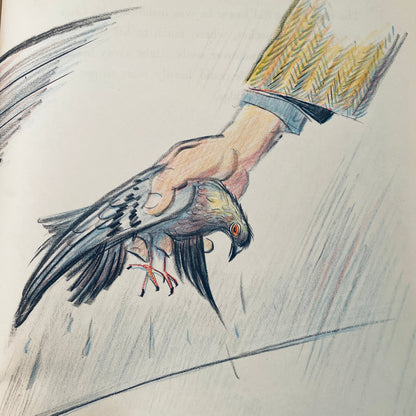 Fly High, Fly Low