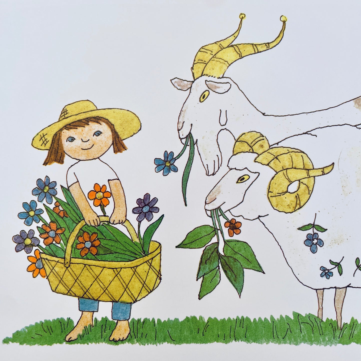 A Year at Maple Hill Farm