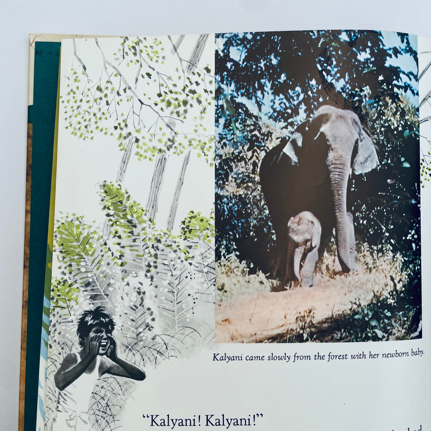 Elephant Baby (Encyclopaedia Britannica True-to-Life Books)