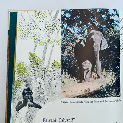 Elephant Baby (Encyclopaedia Britannica True-to-Life Books)
