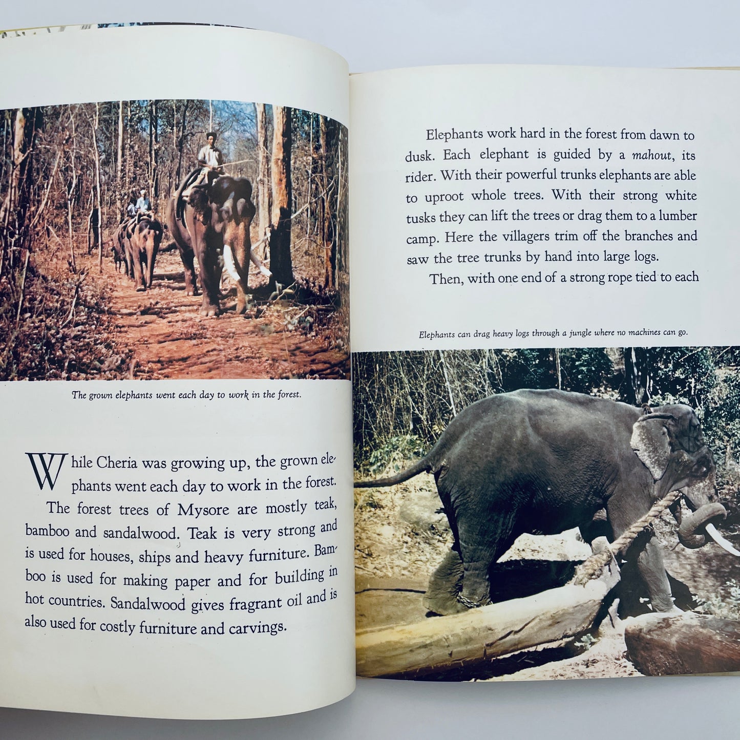 Elephant Baby (Encyclopaedia Britannica True-to-Life Books)