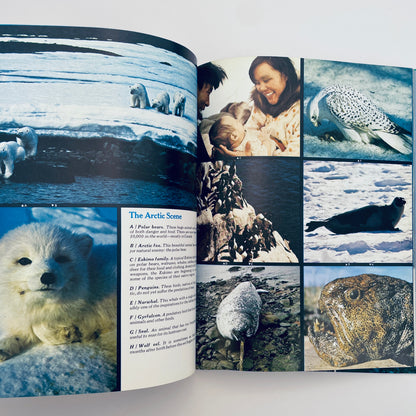 The Ocean World of Jacques Cousteau: Oasis in Space, Vol 1