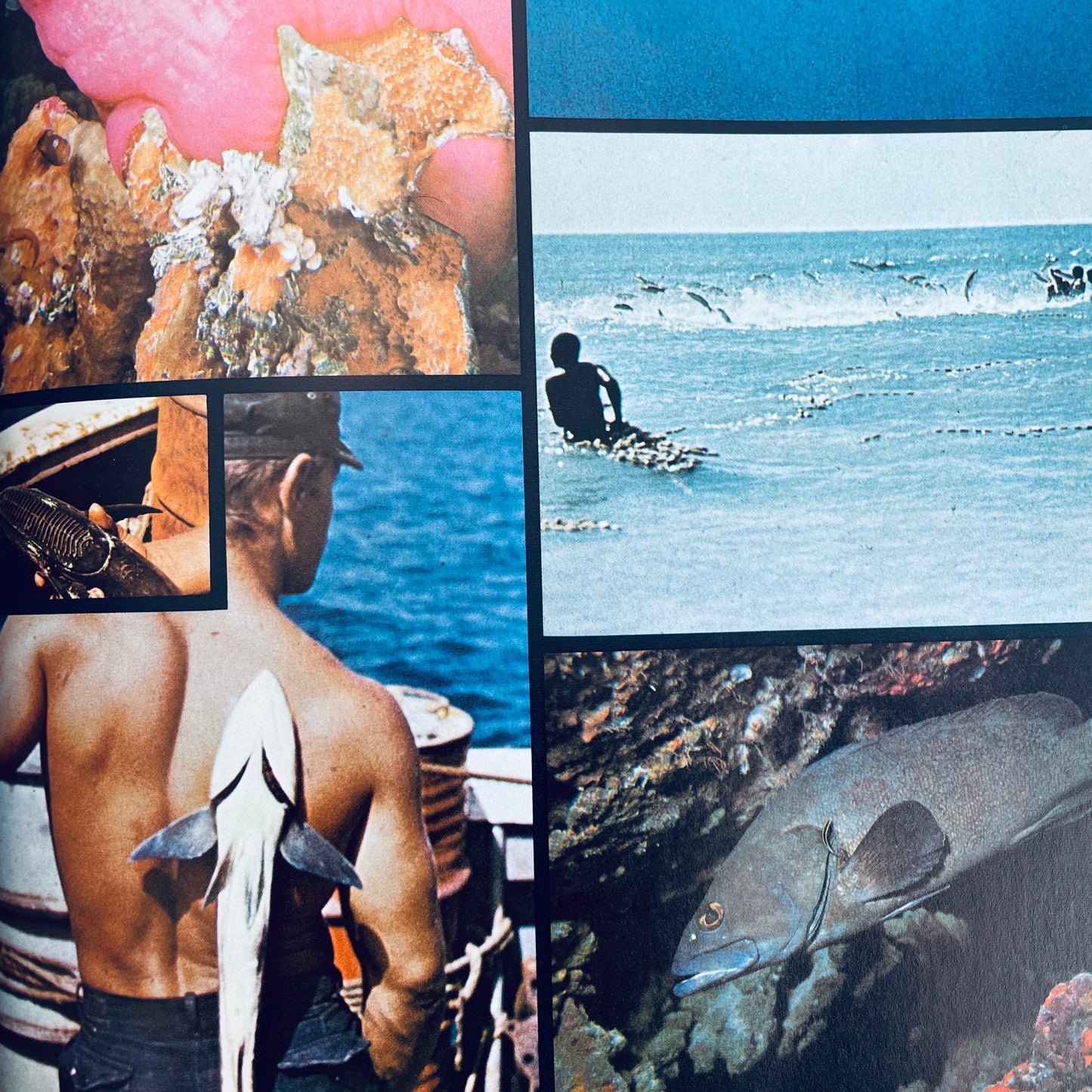 The Ocean World of Jacques Cousteau: Oasis in Space, Vol 1