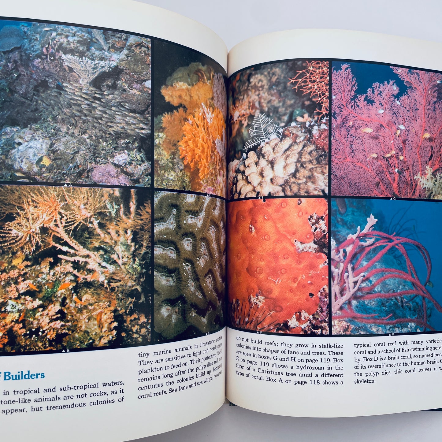 The Ocean World of Jacques Cousteau: Oasis in Space, Vol 1