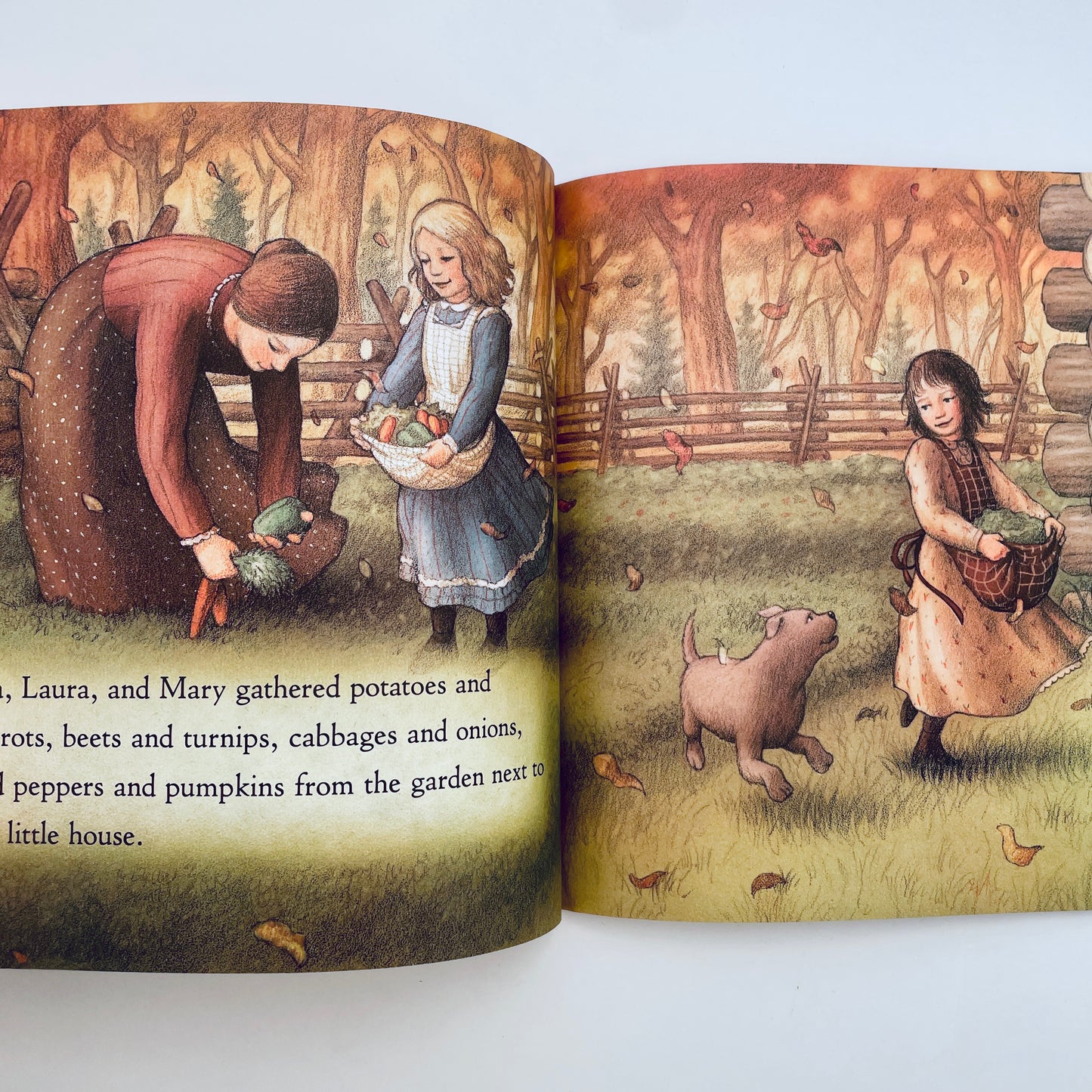 Winter Days in the Big Woods (My First Little House Books)