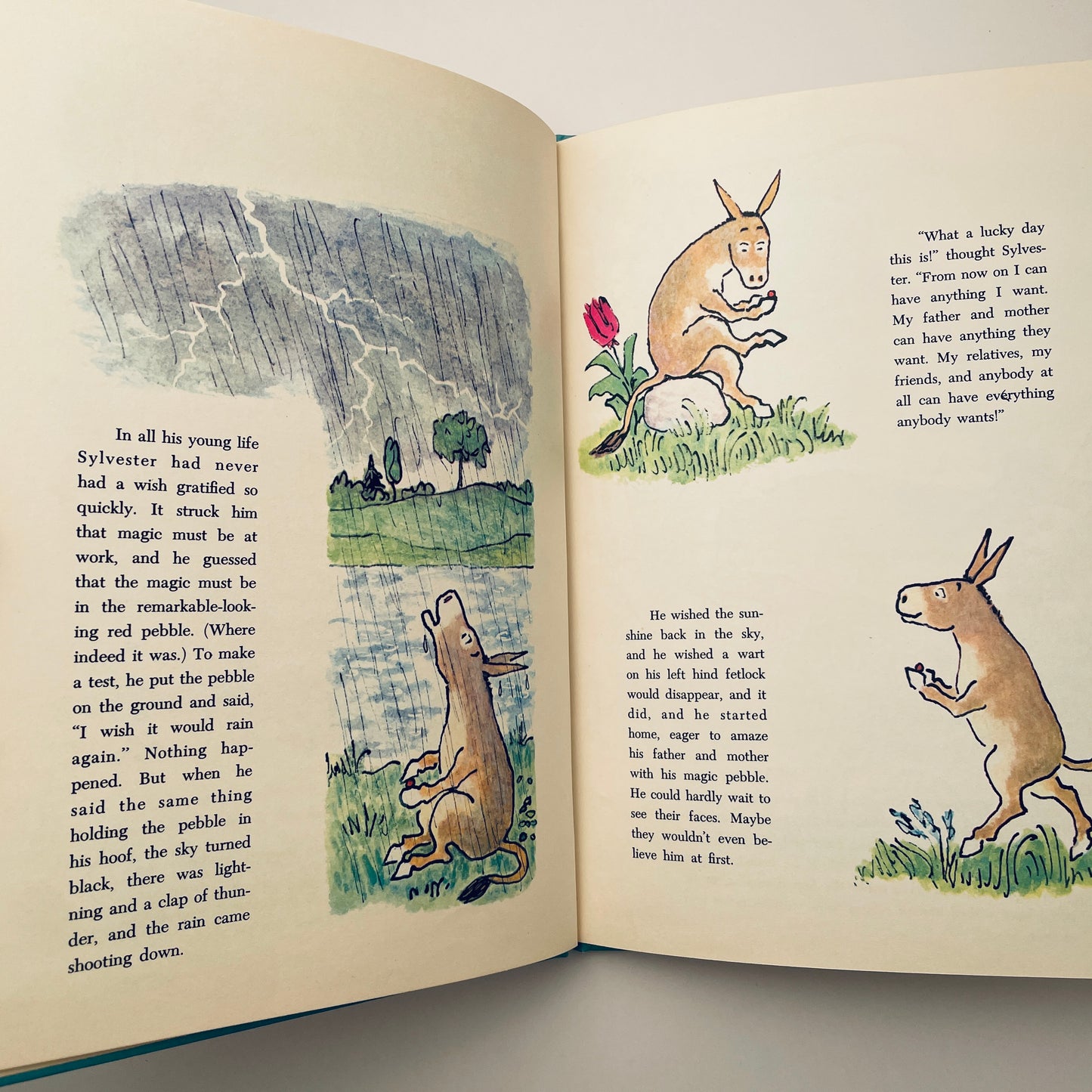 Sylvester and the Magic Pebble