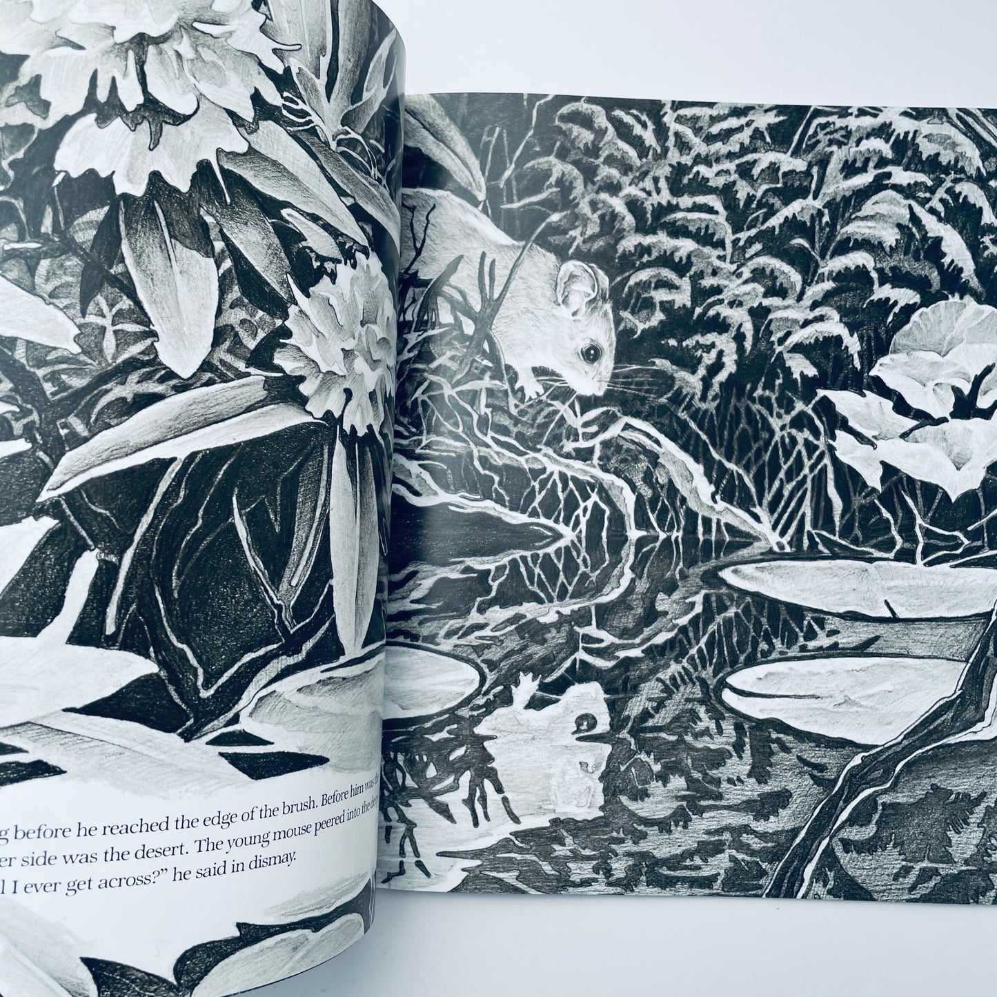 The Story of Jumping Mouse
