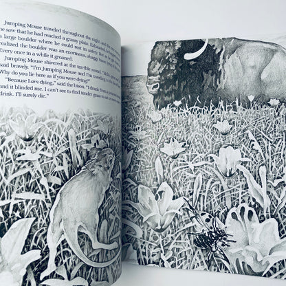 The Story of Jumping Mouse