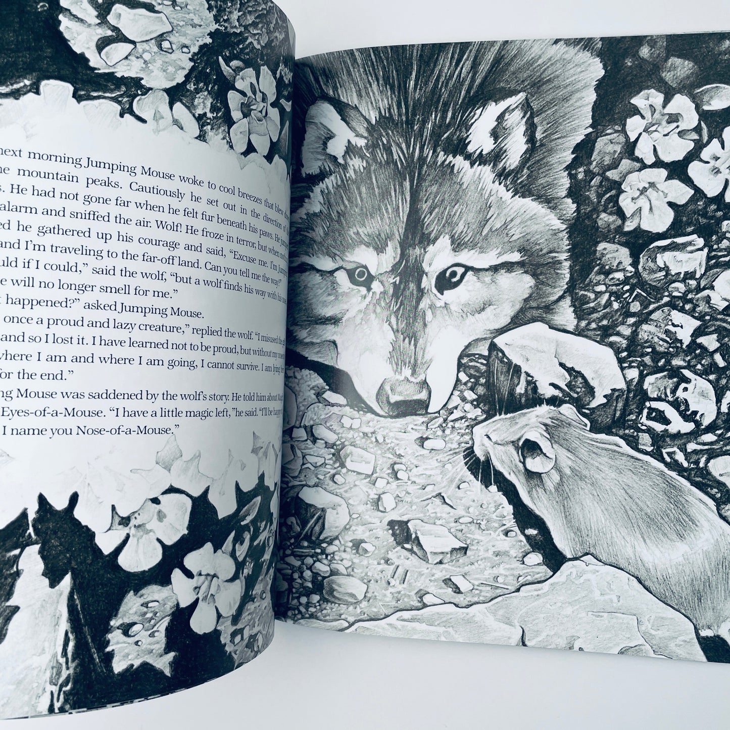The Story of Jumping Mouse