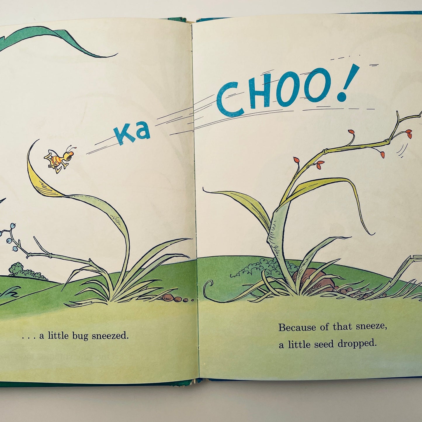 Because a Little Bug went Ka-Choo!