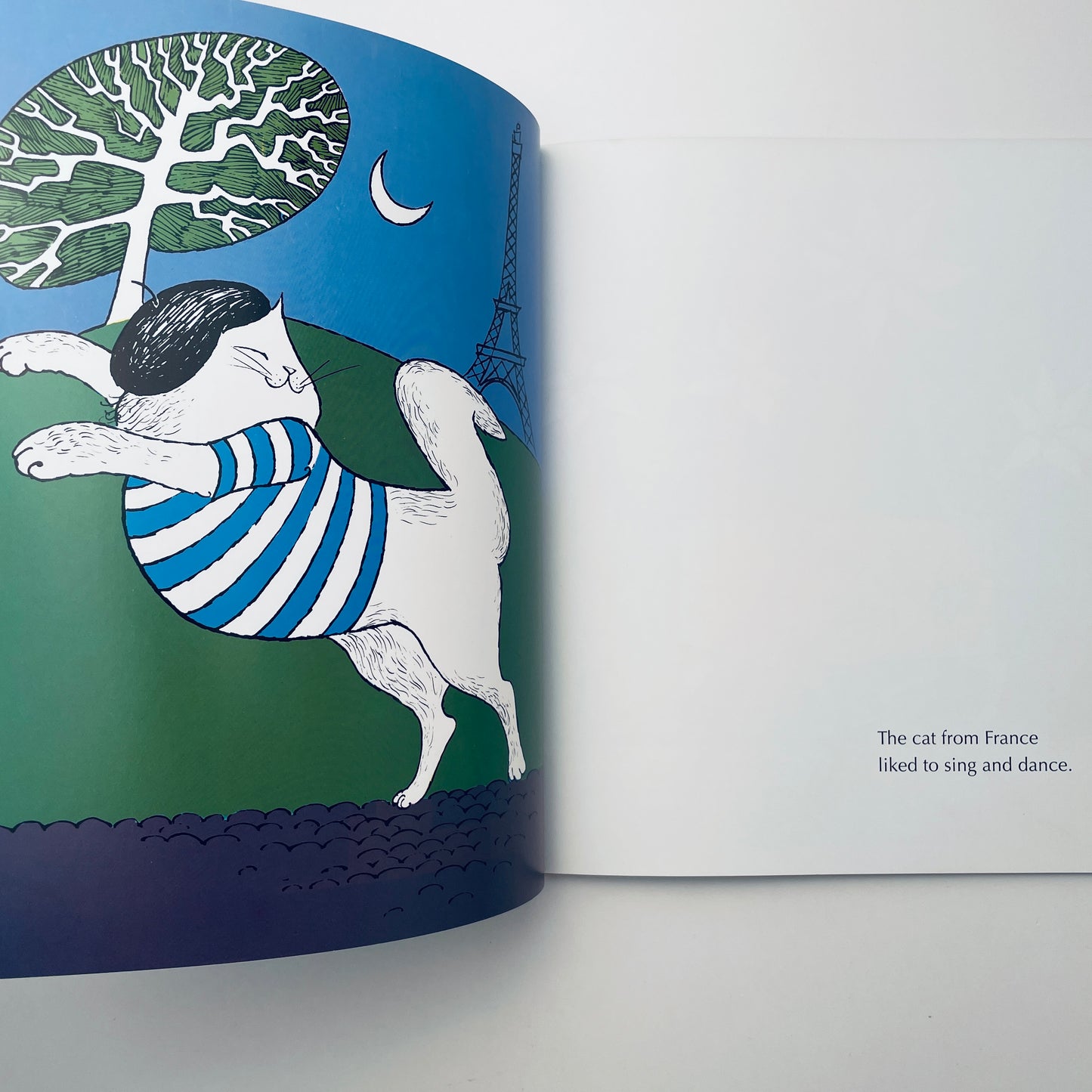 My Cat Likes to Hide in Boxes